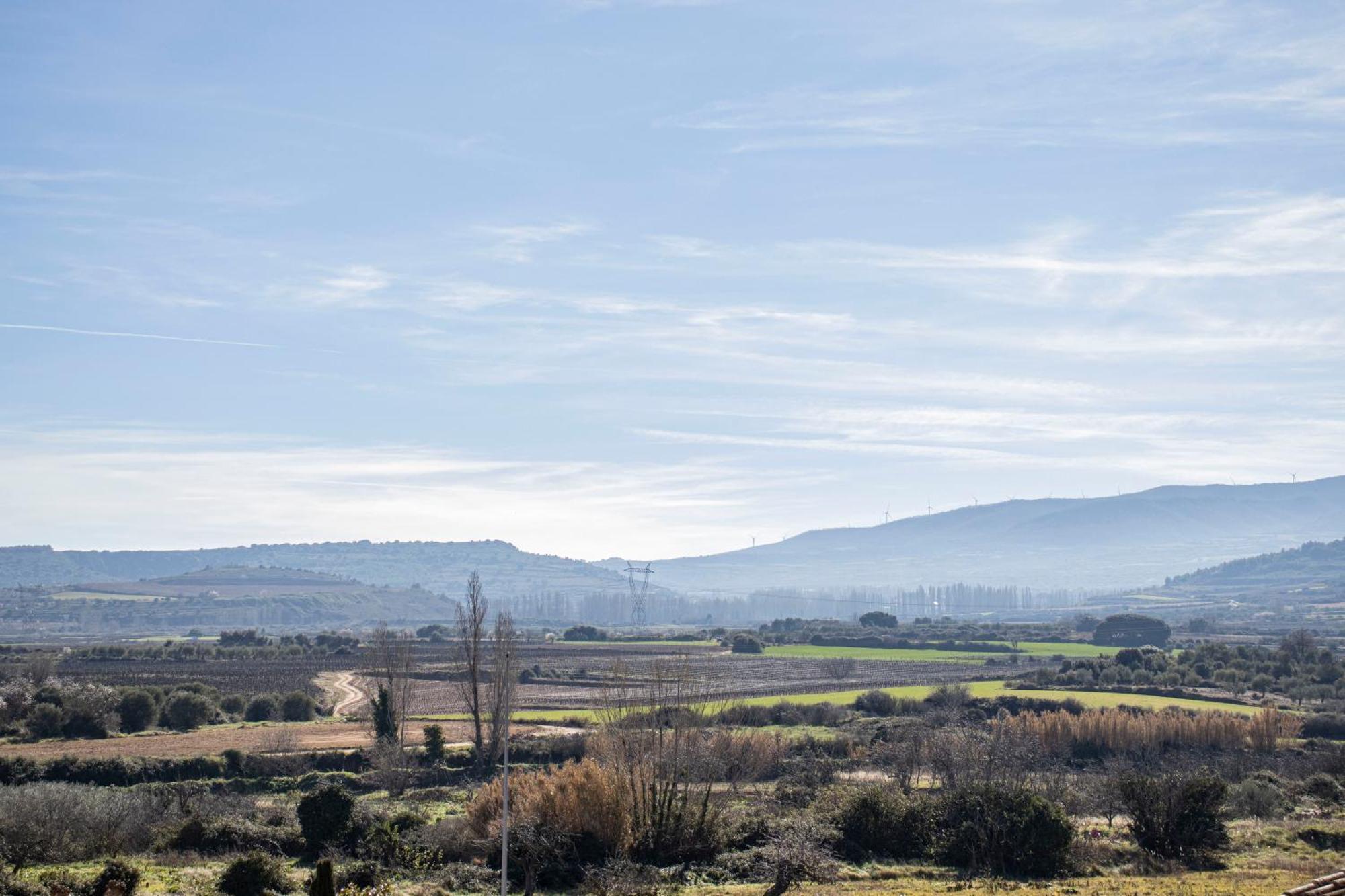 El Sol Del Membrillo Corera